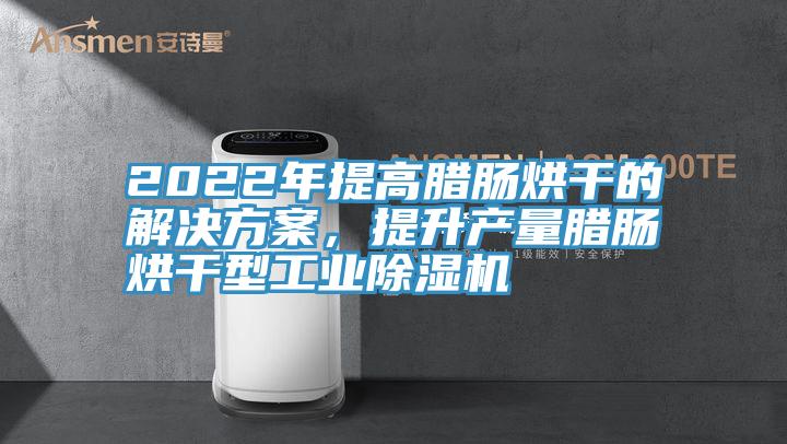 2022年提高臘腸烘干的解決方案，提升產量臘腸烘干型工業除濕機