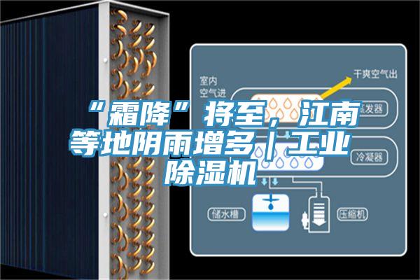 “霜降”將至，江南等地陰雨增多｜工業(yè)除濕機(jī)
