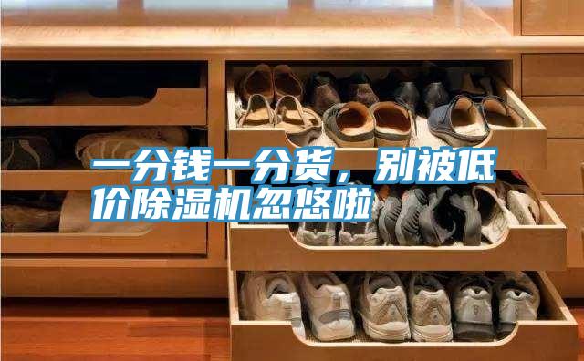 一分錢一分貨，別被低價除濕機忽悠啦