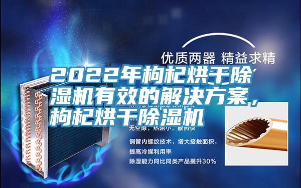 2022年枸杞烘干除濕機有效的解決方案，枸杞烘干除濕機