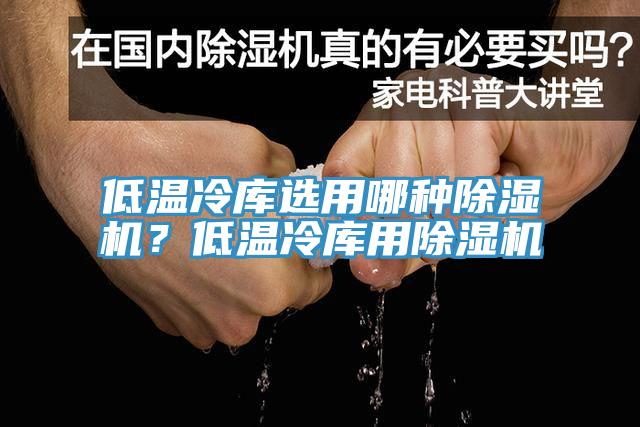 低溫冷庫選用哪種除濕機(jī)？低溫冷庫用除濕機(jī)