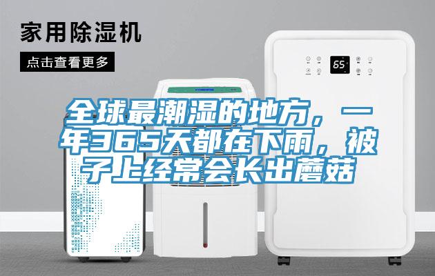 全球最潮濕的地方，一年365天都在下雨，被子上經常會長出蘑菇