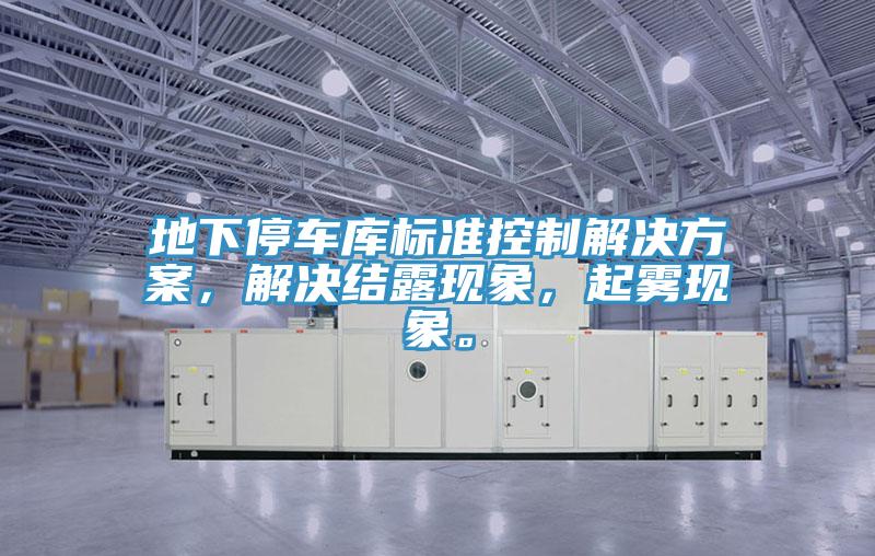 地下停車(chē)庫(kù)標(biāo)準(zhǔn)控制解決方案，解決結(jié)露現(xiàn)象，起霧現(xiàn)象。