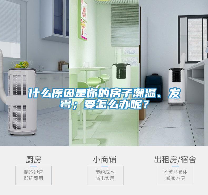 什么原因是你的房子潮濕、發霉；要怎么辦呢？