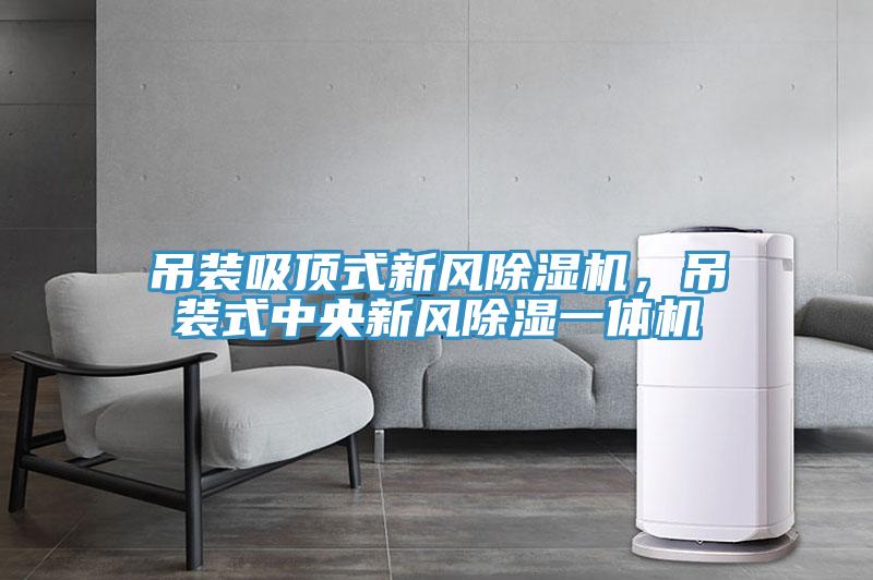 吊裝吸頂式新風除濕機，吊裝式中央新風除濕一體機