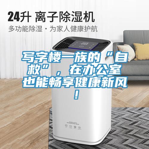 寫(xiě)字樓一族的“自救”，在辦公室也能暢享健康新風(fēng)！