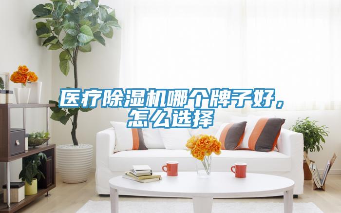 醫(yī)療除濕機哪個牌子好，怎么選擇