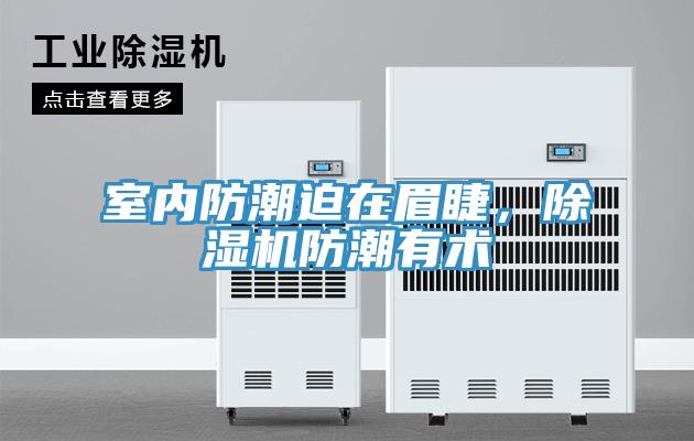 室內(nèi)防潮迫在眉睫，除濕機(jī)防潮有術(shù)