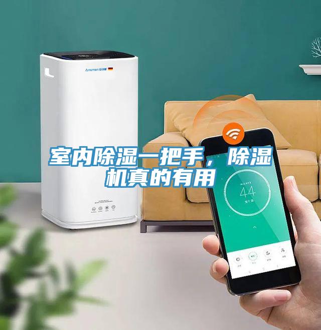 室內(nèi)除濕一把手，除濕機(jī)真的有用