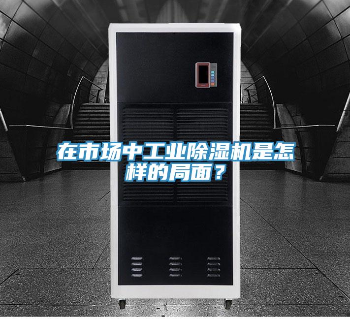 在市場中工業除濕機是怎樣的局面？