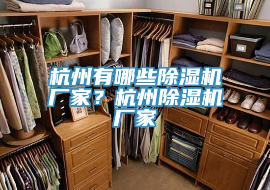 杭州有哪些除濕機廠家？杭州除濕機廠家