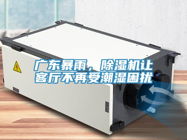 廣東暴雨，除濕機讓客廳不再受潮濕困擾