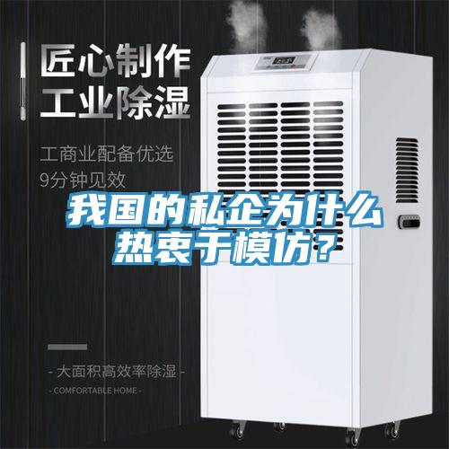 我國的私企為什么熱衷于模仿？