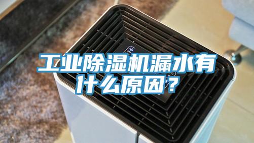 工業(yè)除濕機漏水有什么原因？