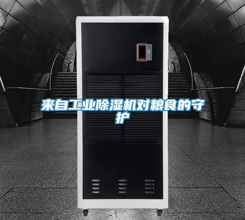 來自工業(yè)除濕機對糧食的守護(hù)