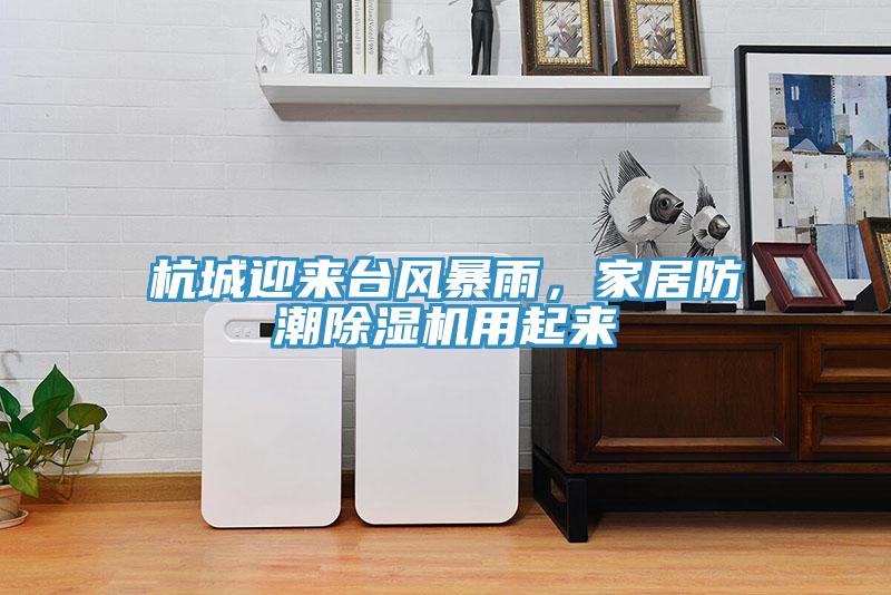 杭城迎來臺風(fēng)暴雨，家居防潮除濕機用起來