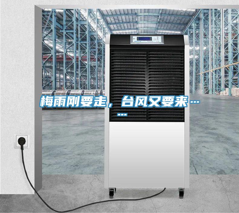 梅雨剛要走，臺風又要來……