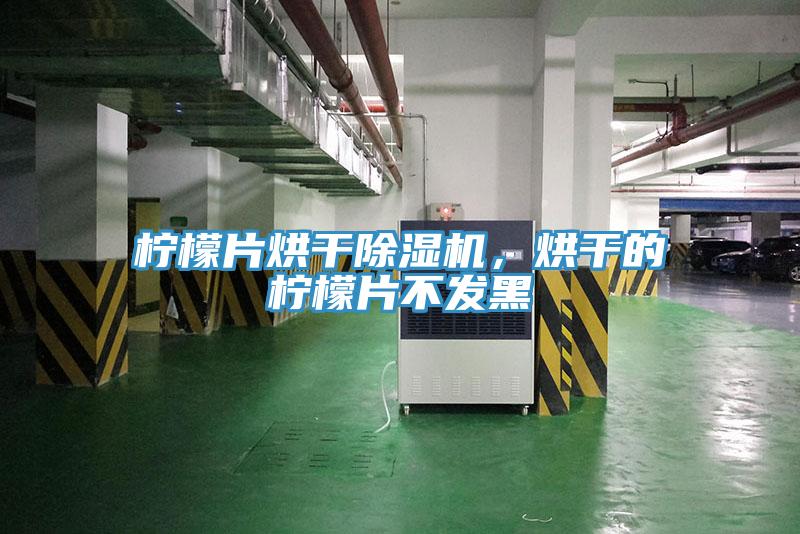 檸檬片烘干除濕機，烘干的檸檬片不發黑