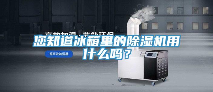 您知道冰箱里的除濕機用什么嗎？