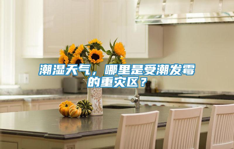 潮濕天氣，哪里是受潮發(fā)霉的重災(zāi)區(qū)？