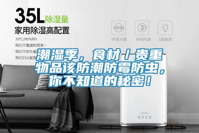 潮濕季，食材／貴重物品該防潮防霉防蟲，你不知道的秘密！