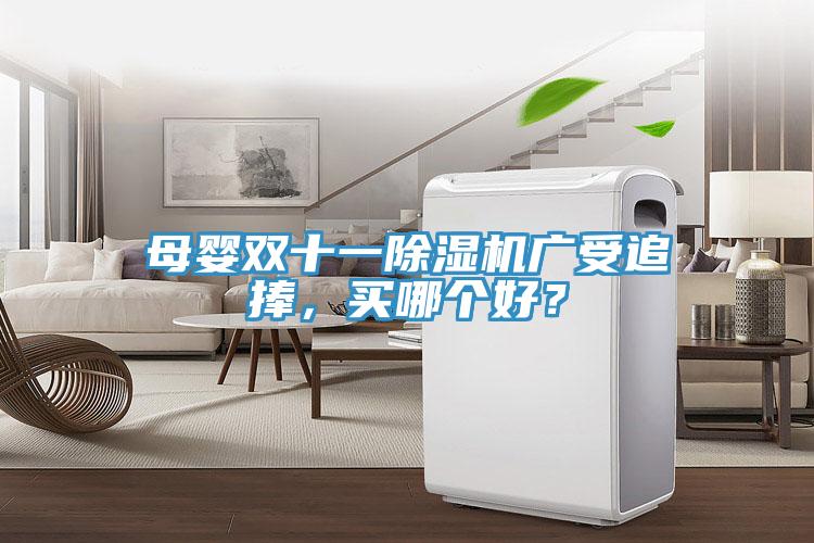 母嬰雙十一除濕機廣受追捧，買哪個好？