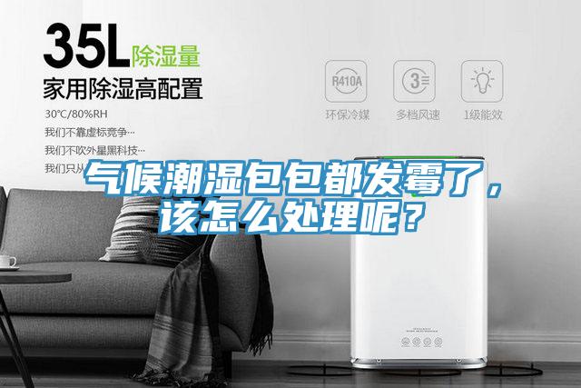 氣候潮濕包包都發霉了，該怎么處理呢？