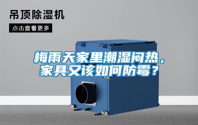 梅雨天家里潮濕悶熱，家具又該如何防霉？