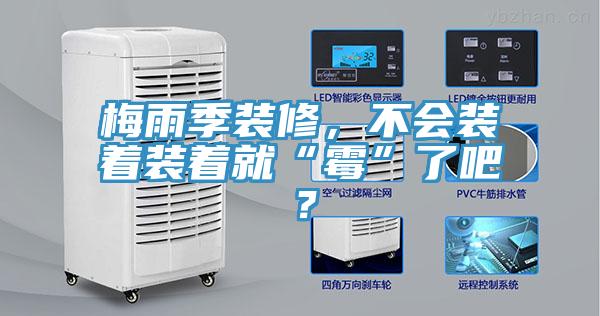 梅雨季裝修，不會(huì)裝著裝著就“霉”了吧？