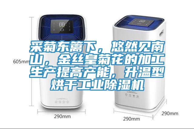 采菊東籬下，悠然見南山，金絲皇菊花的加工生產(chǎn)提高產(chǎn)能，升溫型烘干工業(yè)除濕機
