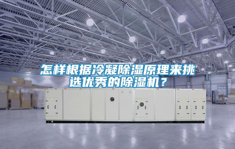 怎樣根據冷凝除濕原理來挑選優秀的除濕機？