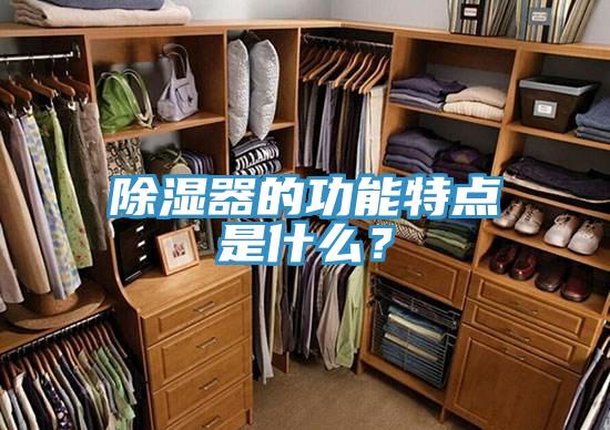 除濕器的功能特點(diǎn)是什么？