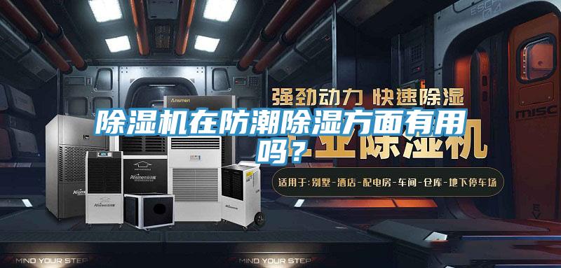除濕機(jī)在防潮除濕方面有用嗎？