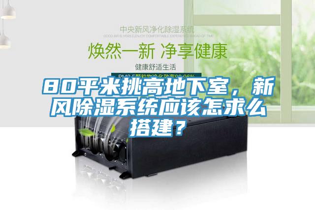 80平米挑高地下室，新風(fēng)除濕系統(tǒng)應(yīng)該怎求么搭建？