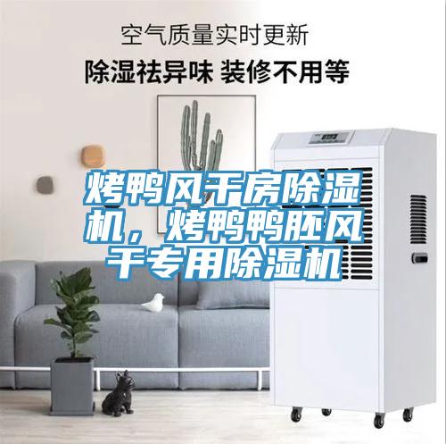 烤鴨風干房除濕機，烤鴨鴨胚風干專用除濕機