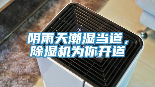 陰雨天潮濕當(dāng)?shù)溃凉駲C(jī)為你開道