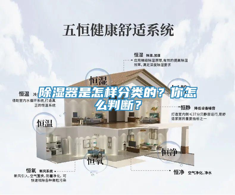 除濕器是怎樣分類(lèi)的？你怎么判斷？