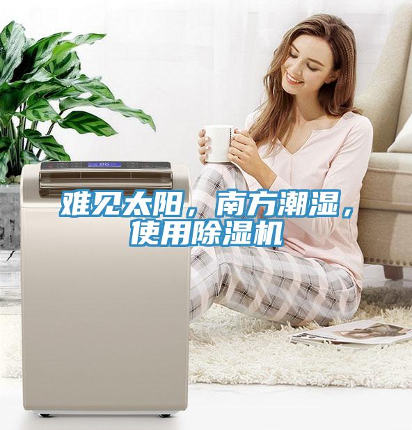 難見太陽，南方潮濕，使用除濕機