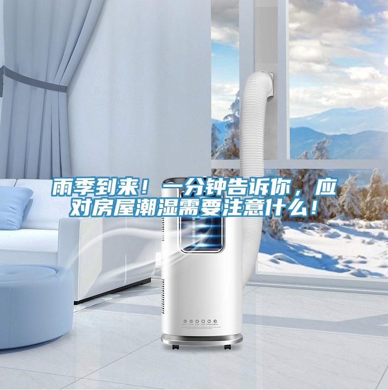 雨季到來！一分鐘告訴你，應對房屋潮濕需要注意什么！