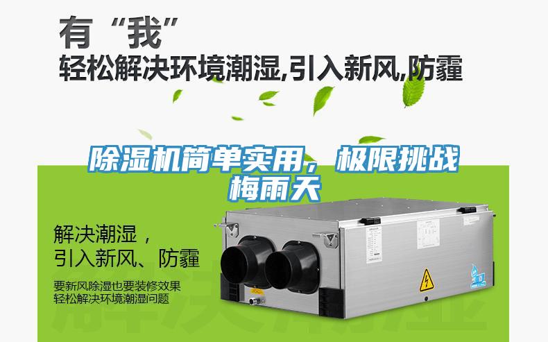 除濕機簡單實用，極限挑戰梅雨天