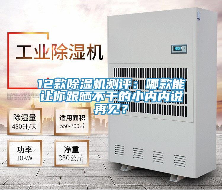 12款除濕機測評：哪款能讓你跟曬不干的小內內說再見？