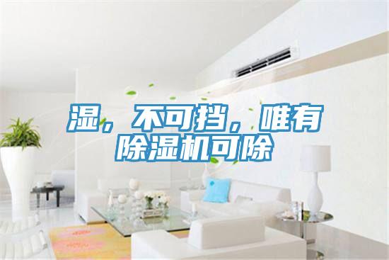 濕，不可擋，唯有除濕機(jī)可除