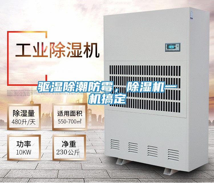 驅(qū)濕除潮防霉，除濕機(jī)一機(jī)搞定