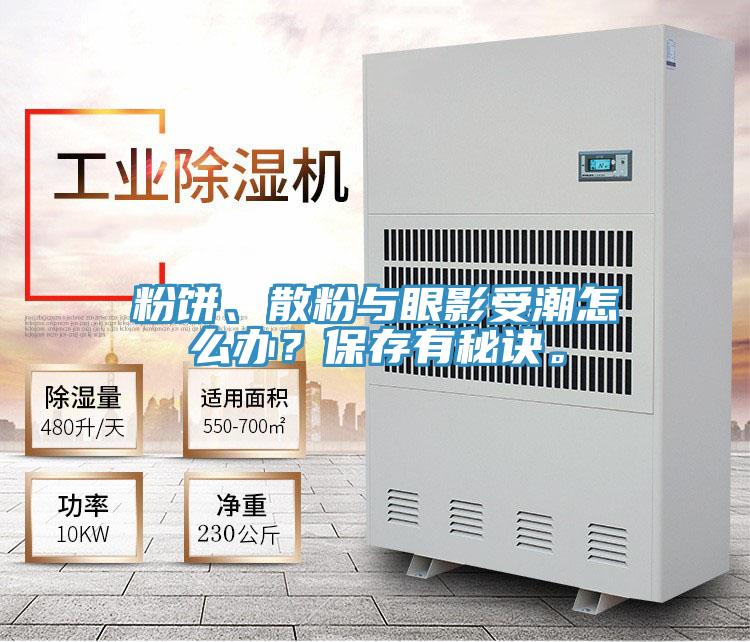 粉餅、散粉與眼影受潮怎么辦？保存有秘訣。