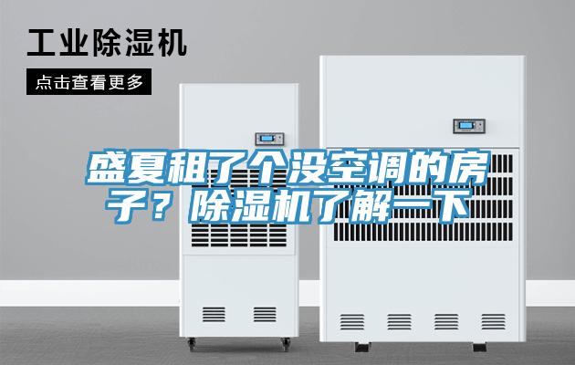 盛夏租了個沒空調(diào)的房子？除濕機了解一下