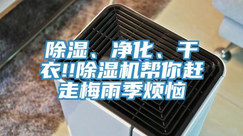 除濕、凈化、干衣!!除濕機(jī)幫你趕走梅雨季煩惱