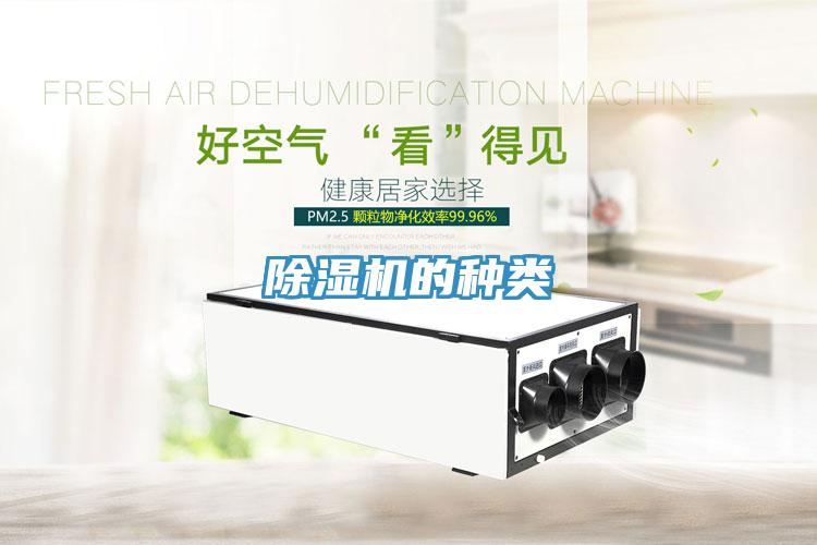 除濕機(jī)的種類(lèi)