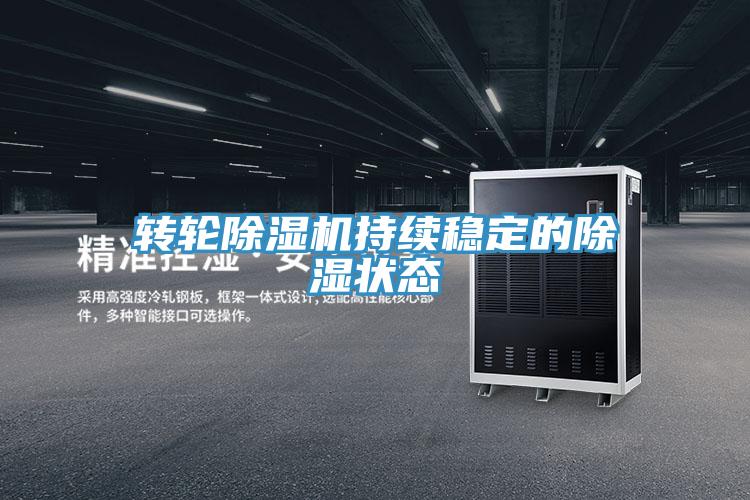 轉輪除濕機持續(xù)穩(wěn)定的除濕狀態(tài)