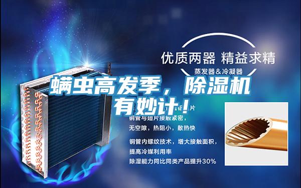 螨蟲高發季，除濕機有妙計！