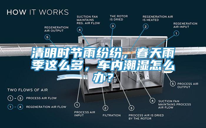 清明時節雨紛紛，春天雨季這么多，車內潮濕怎么辦？